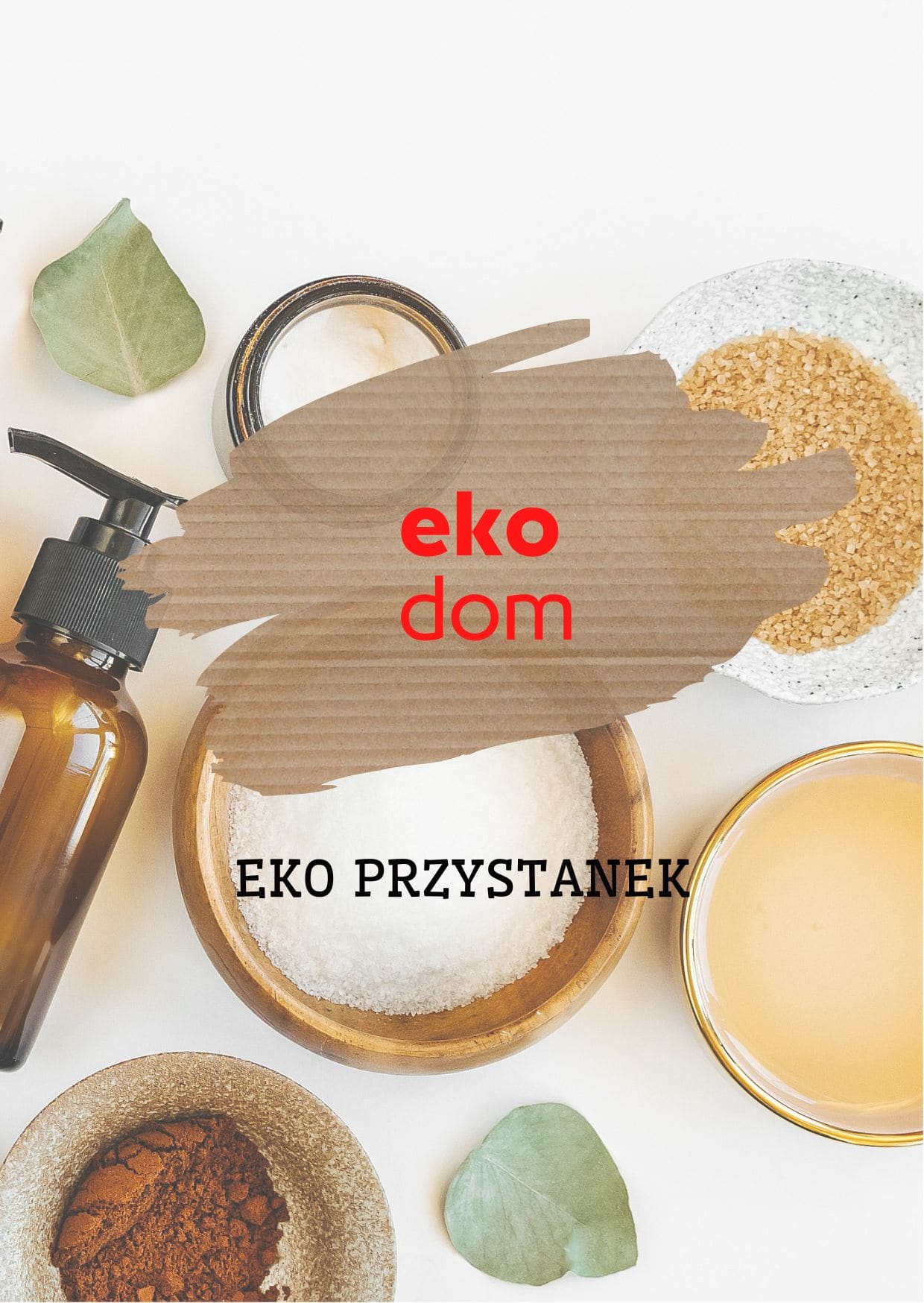 eko_dom