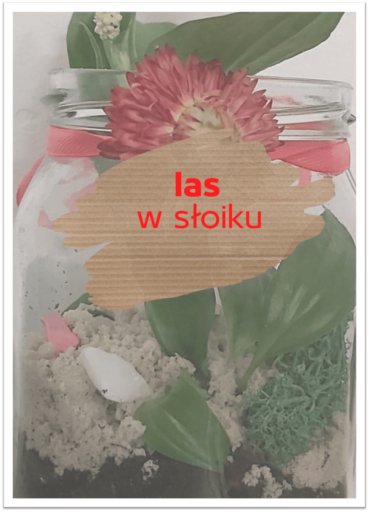 las_w_sloiku